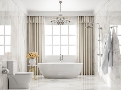 Luxurious Tub Area